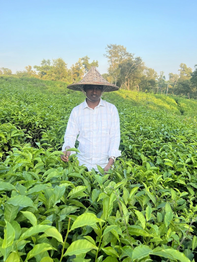 Nasir visiting the scenic tea gardens of Sylhet