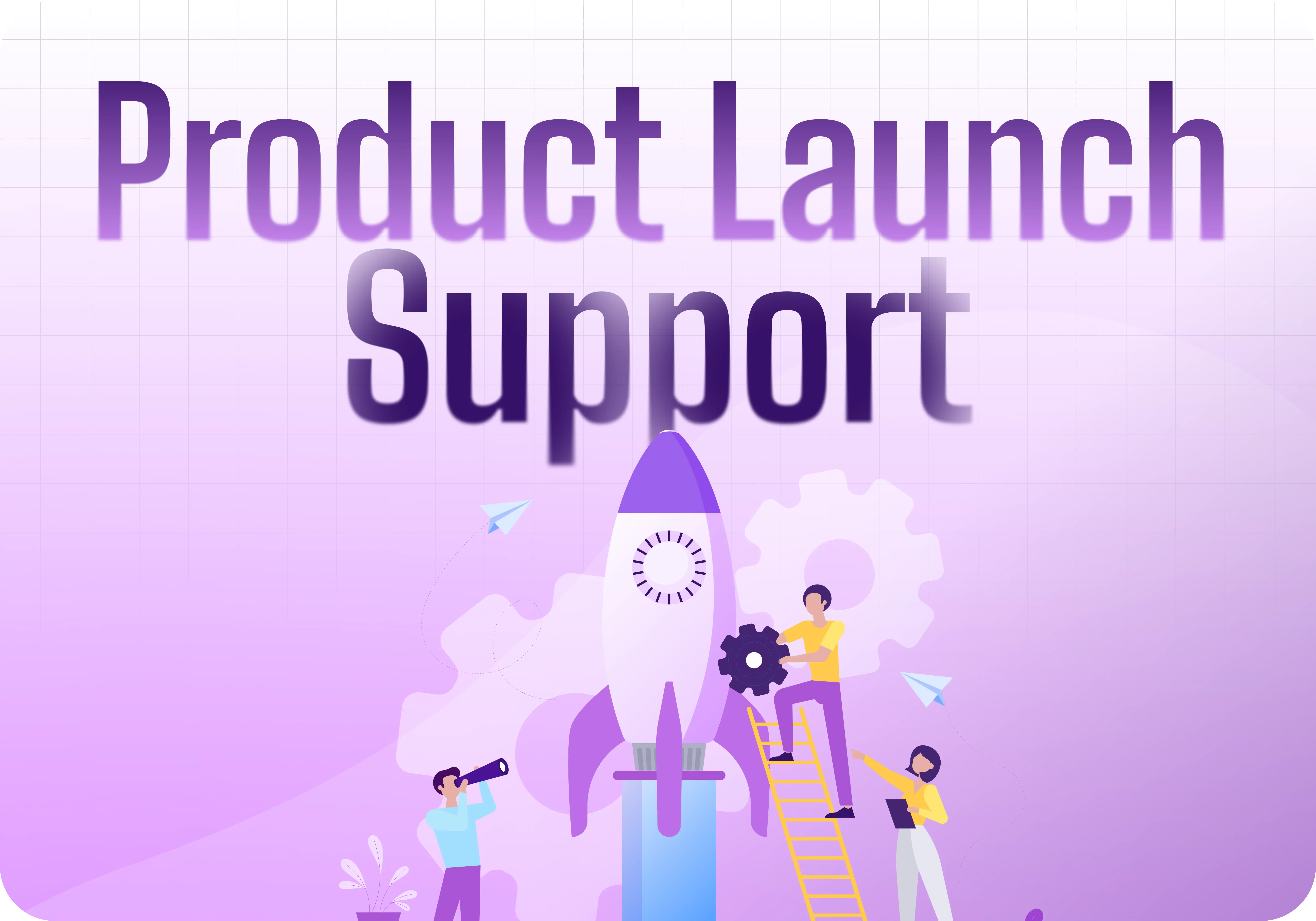 Product Launch Support Services